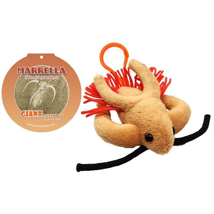 Marrella key chain with tag