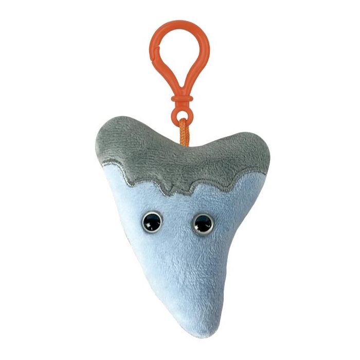 Megalodon Tooth key chain