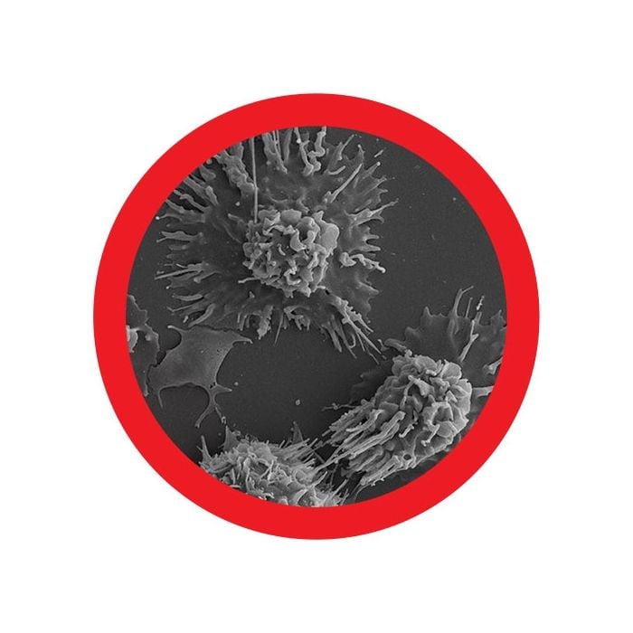 Melanoma microbial