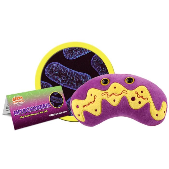 Mitochondria plush cluster
