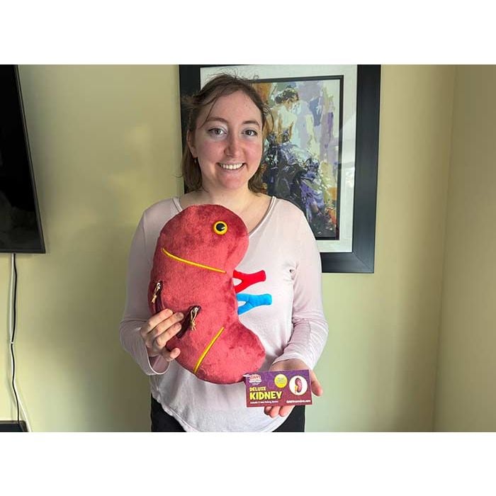 Model holding Deluxe Kidney