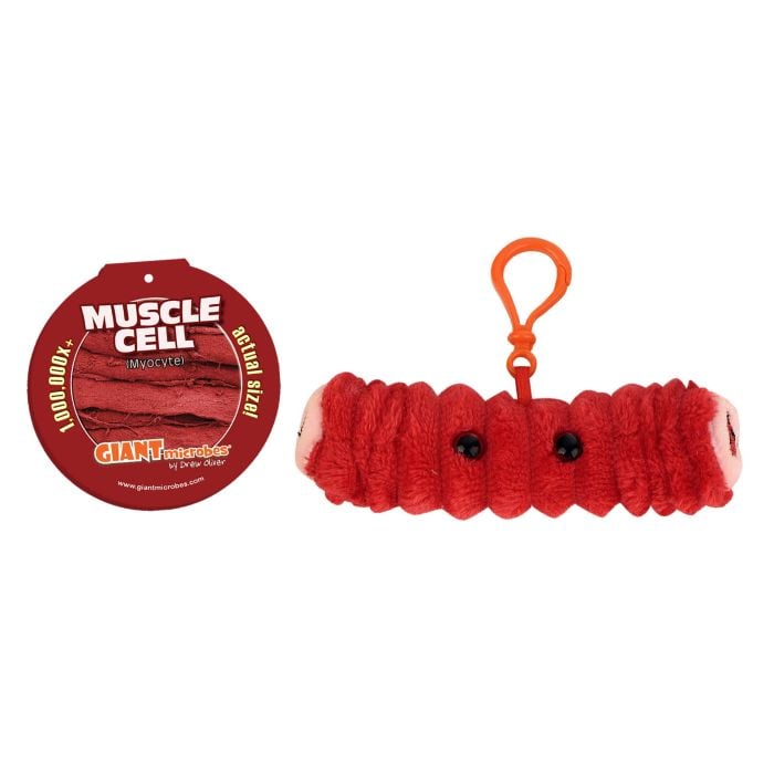 Muscle Cell plush key chain tag