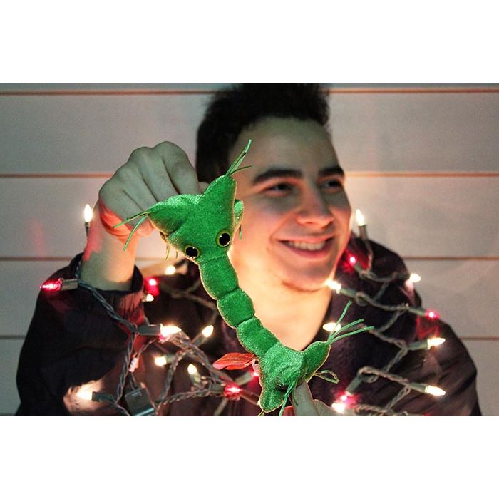Nerve Cell lights