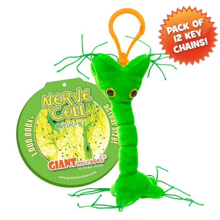 Nerve Cell KC pack