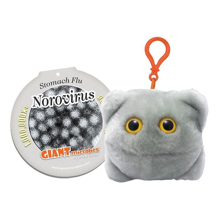 Norovirus key chain with tag