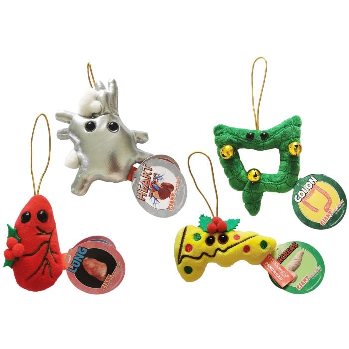 Organ ornaments pack