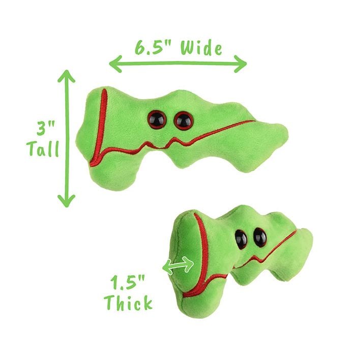 Pancreas plush dimensions