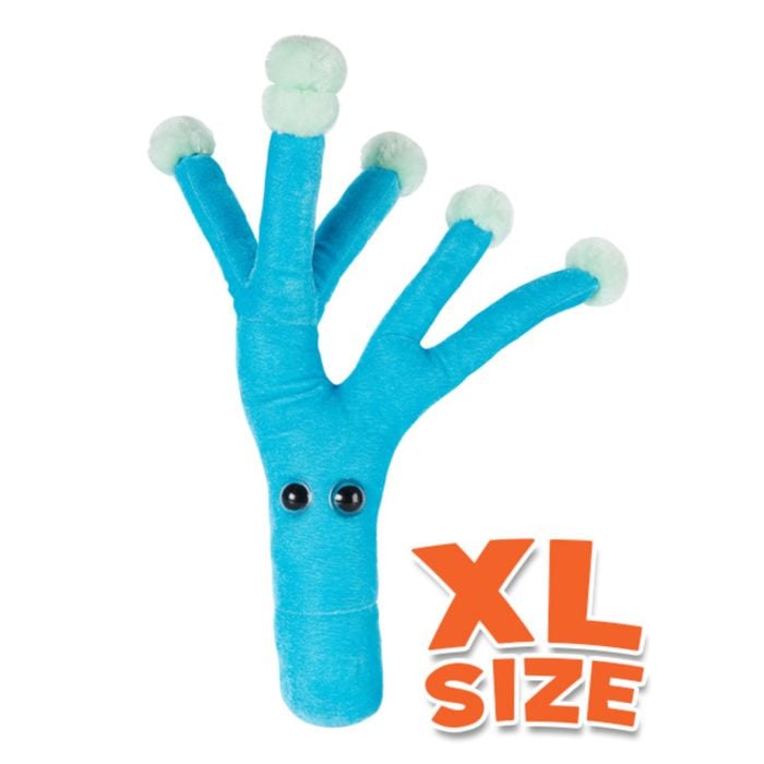 Penicillin XL