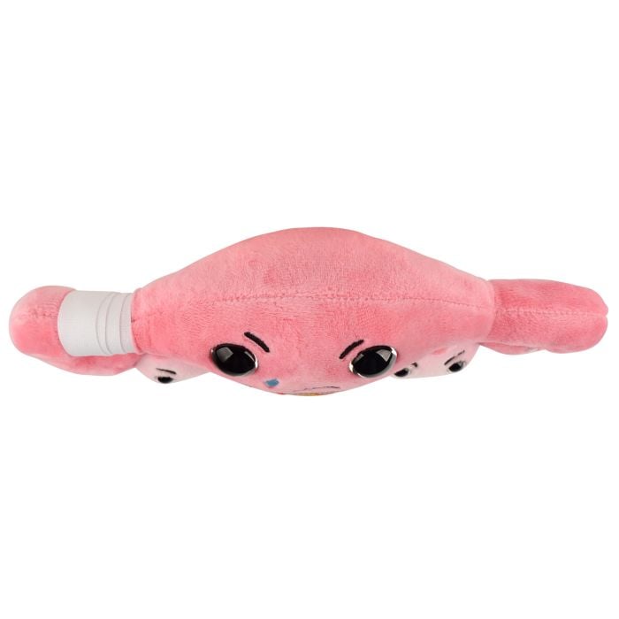 PMS Uterus plush top