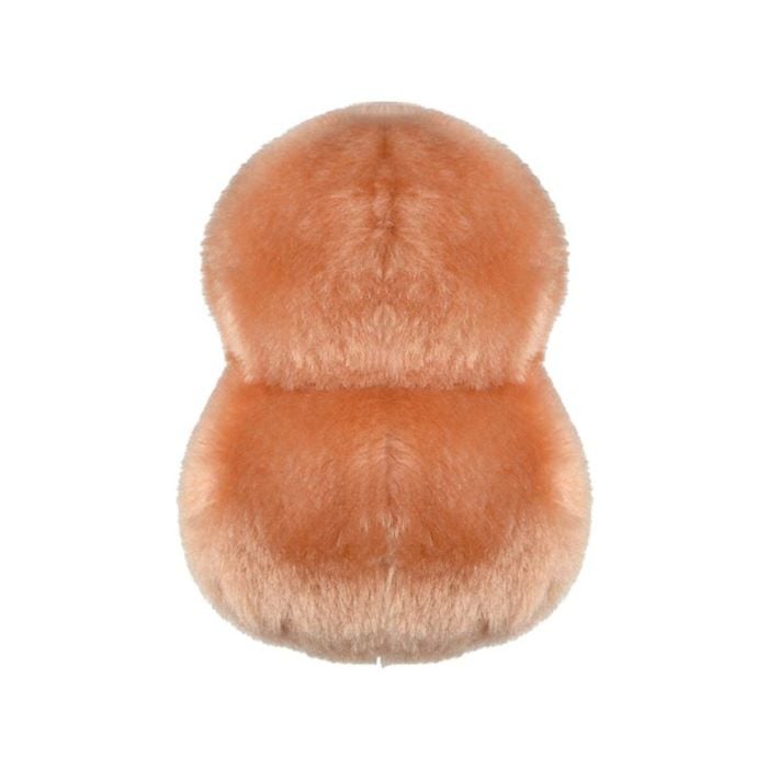 Pneumonia plush back