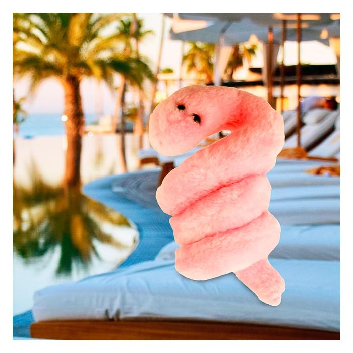 Pox on beach
