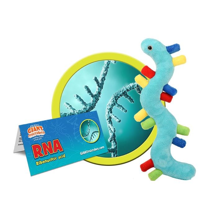 RNA plush cluster