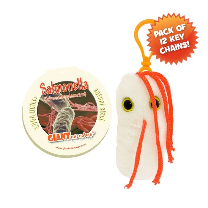 Salmonella KC pack