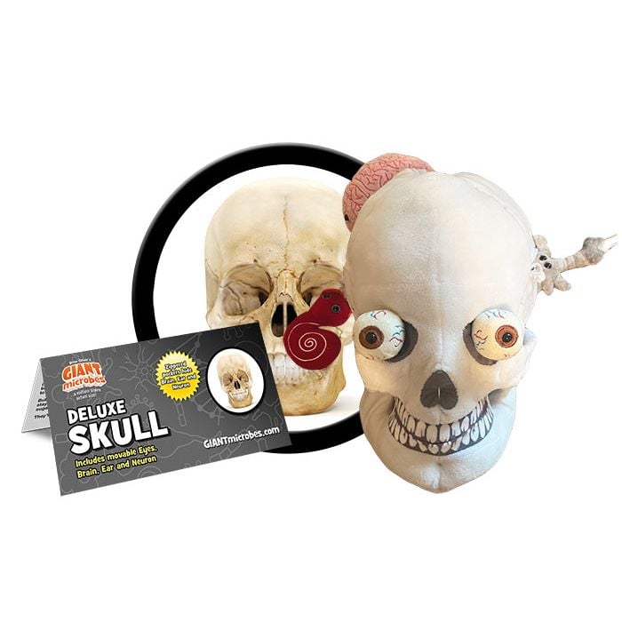 Deluxe Skull cluster