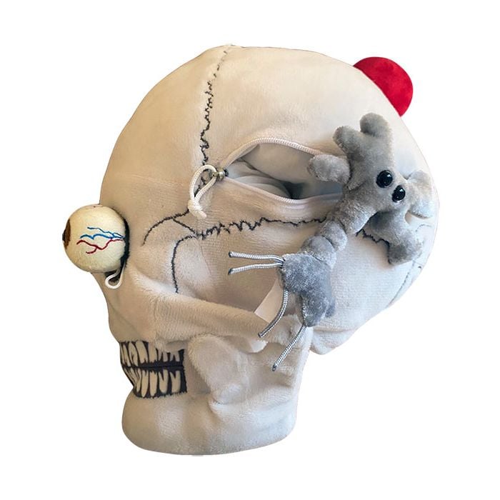 Deluxe Skull side 2