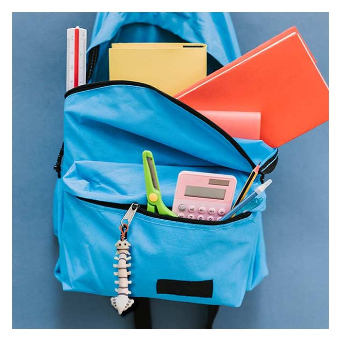 Spine keychain on blue backpack