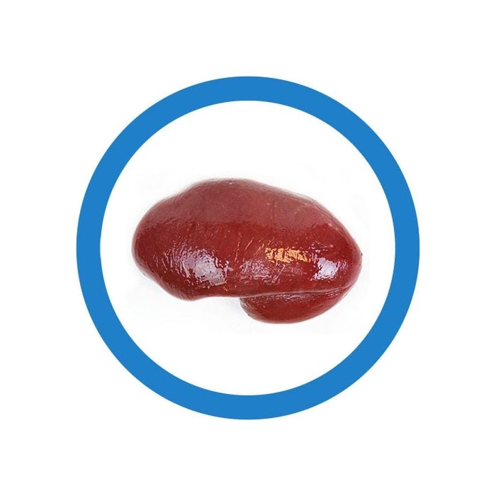 Spleen real image
