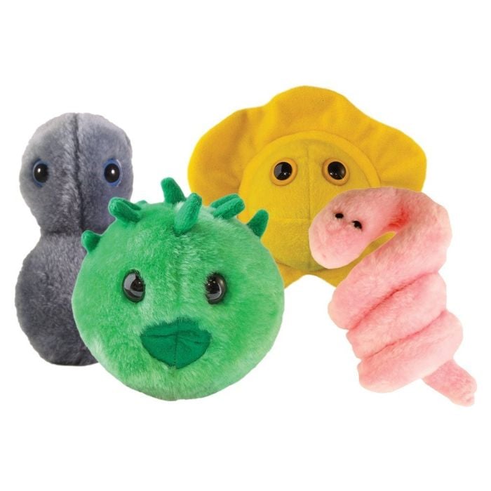 STD 4 pack