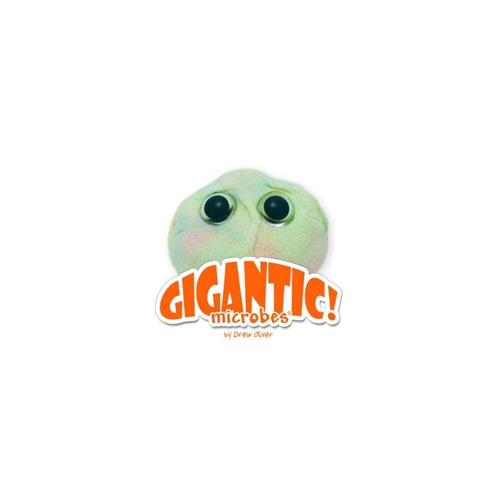 Stem Cell Gigantic