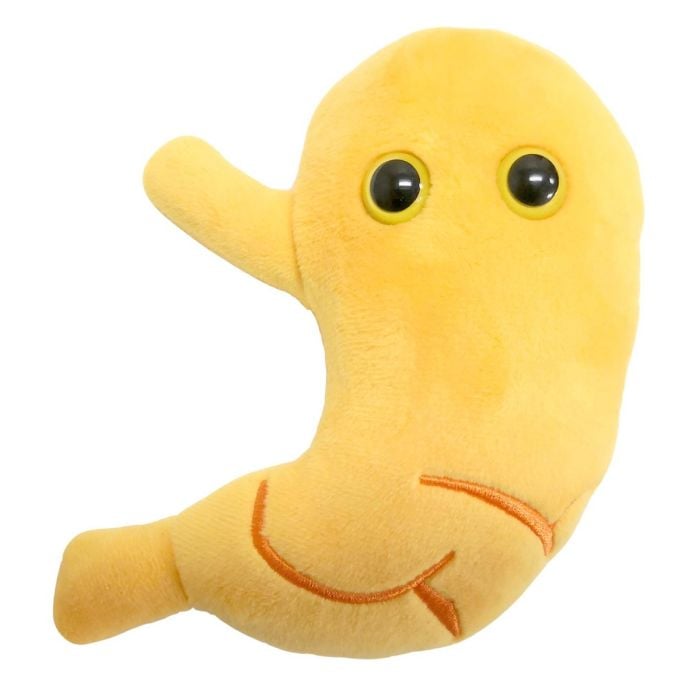 Stomach plush doll