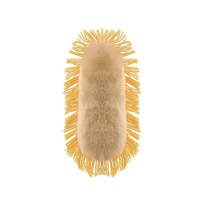 Stomach Ache plush back