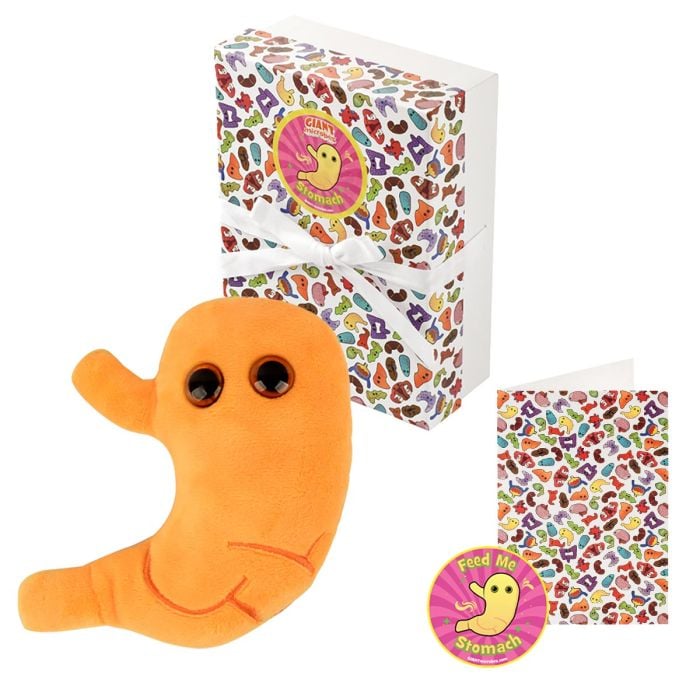 Stomach gift box main image