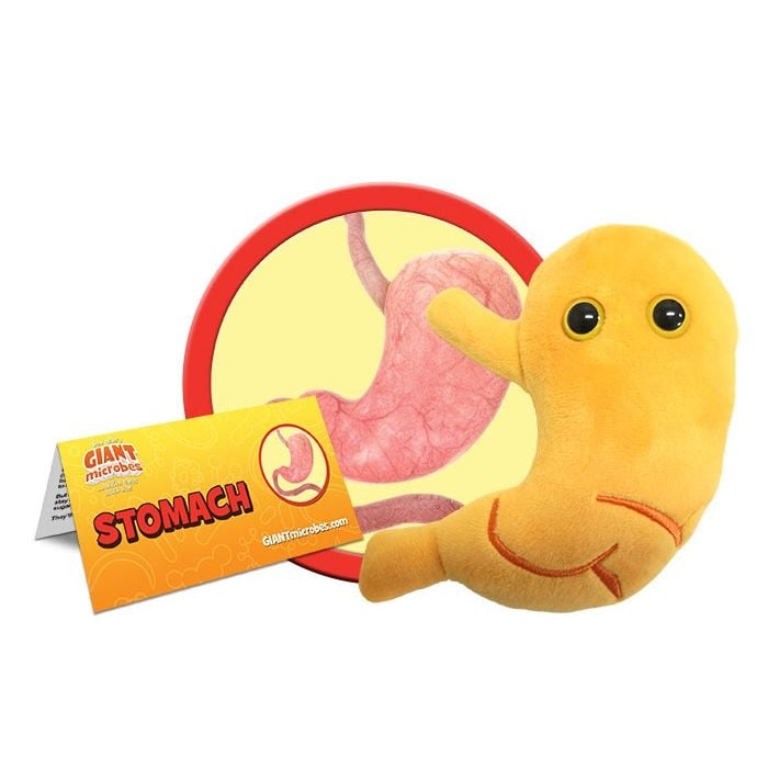 Stomach plush cluster
