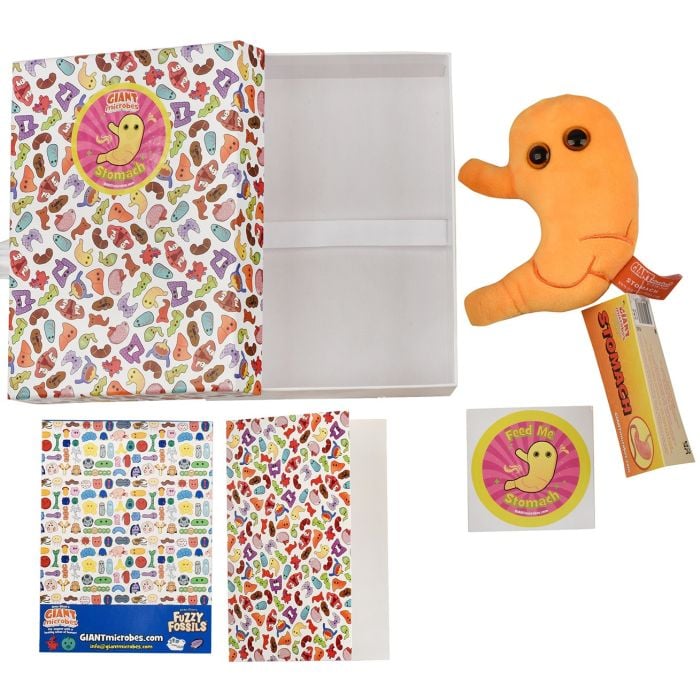 Stomach gift box all content
