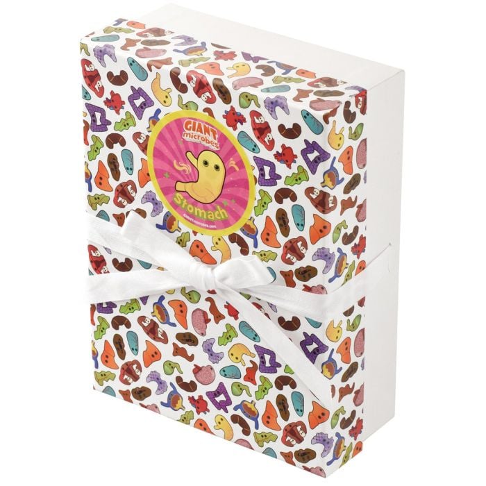 Stomach gift box angle