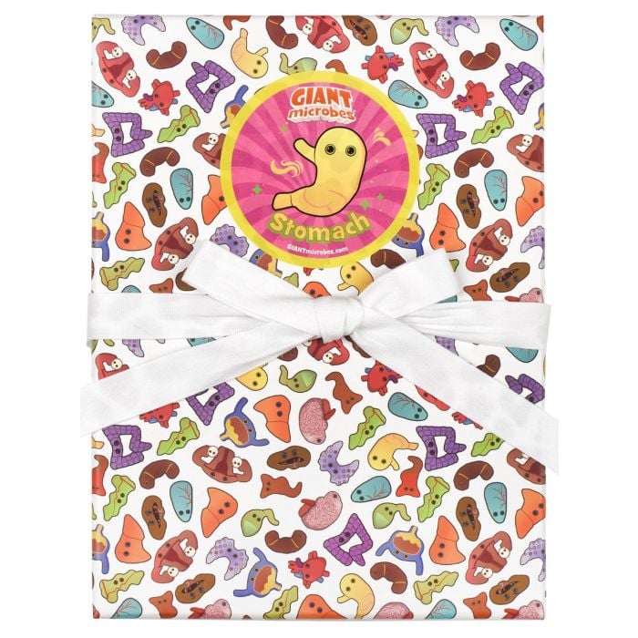 Stomach gift box front