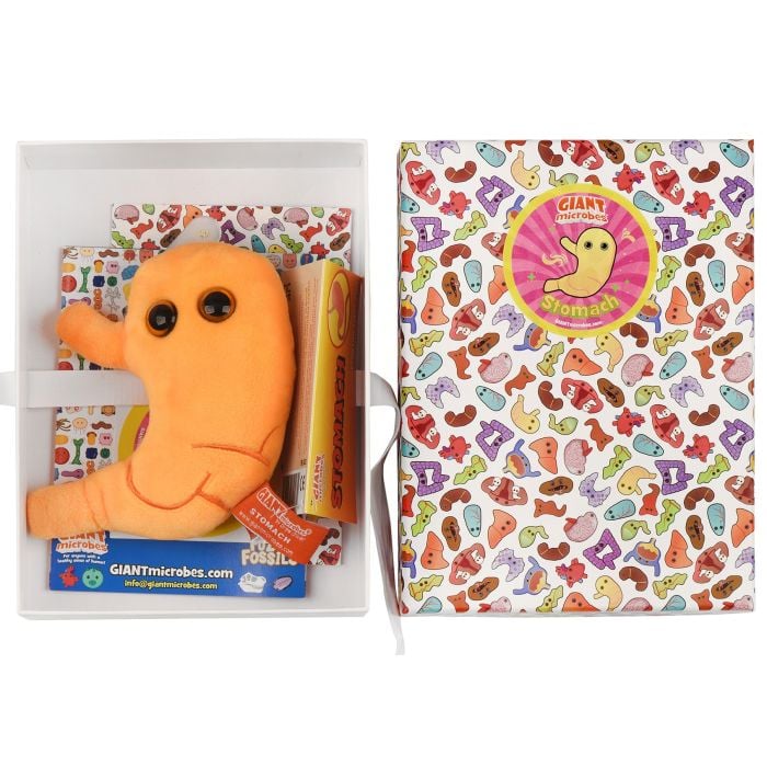 Stomach gift box open with plush