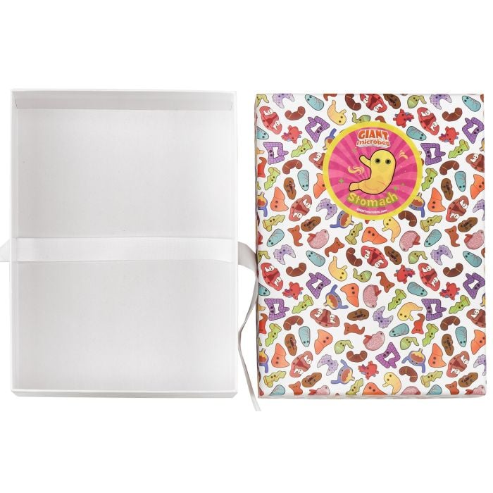 Stomach gift box open empty