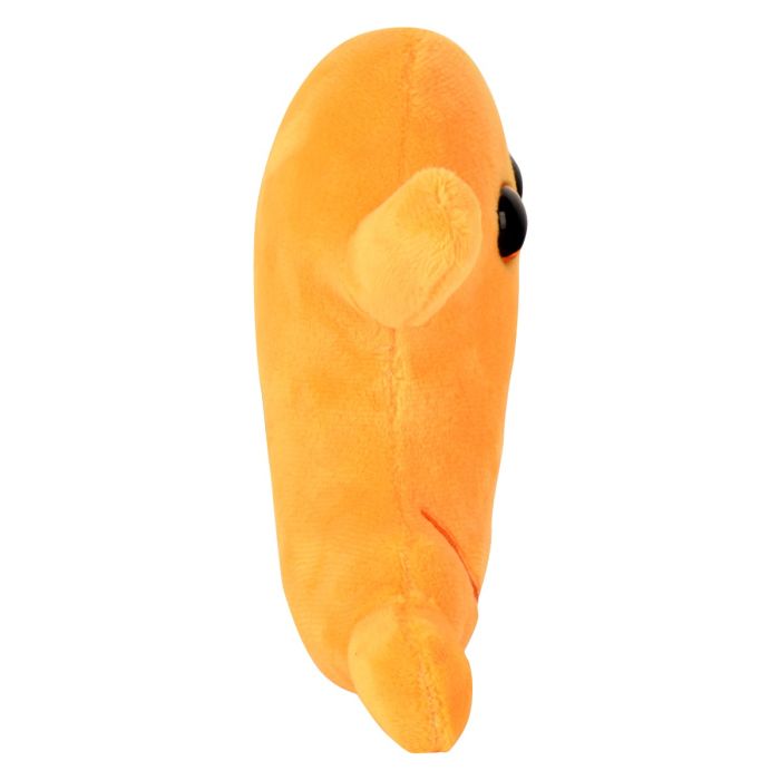 Stomach new plush side