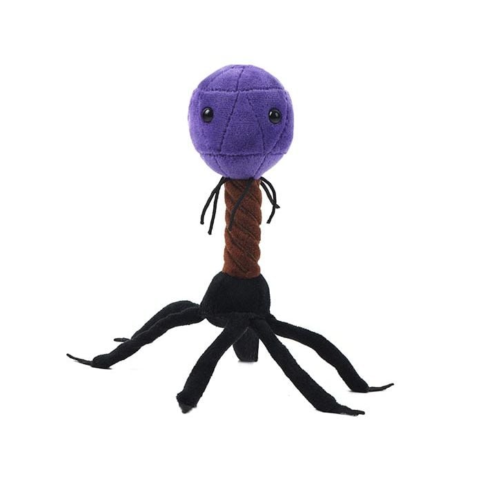 T4 plush front