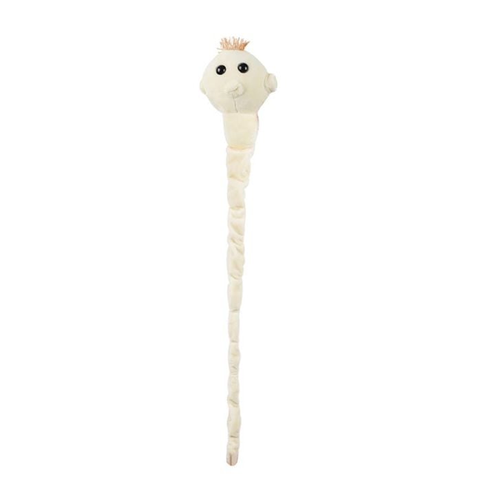 Tapeworm plush stretched out
