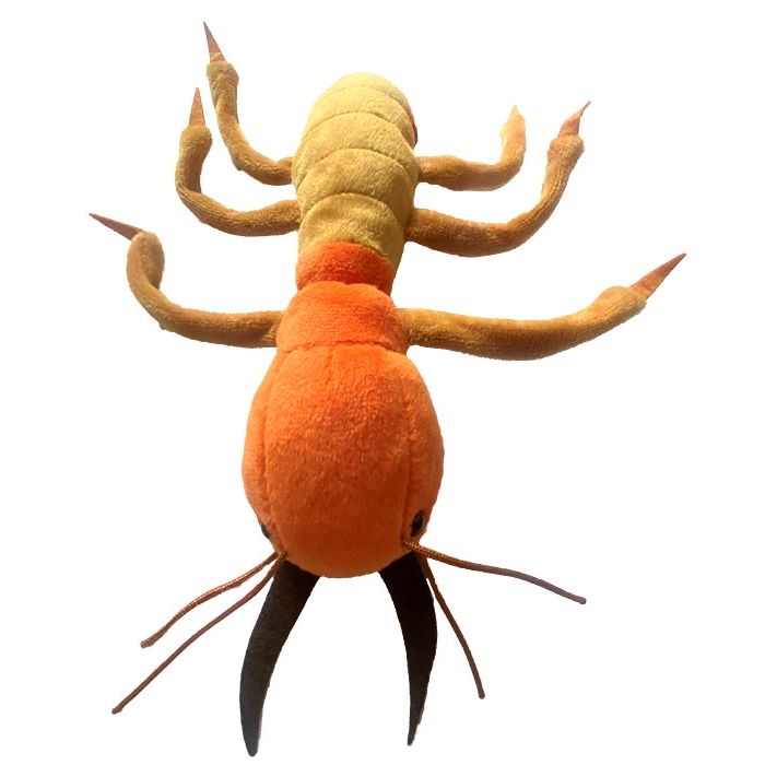 Termite plush front new