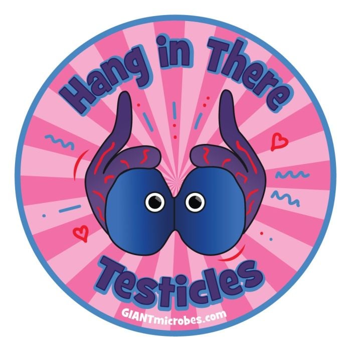 Testicles vinyl sticker