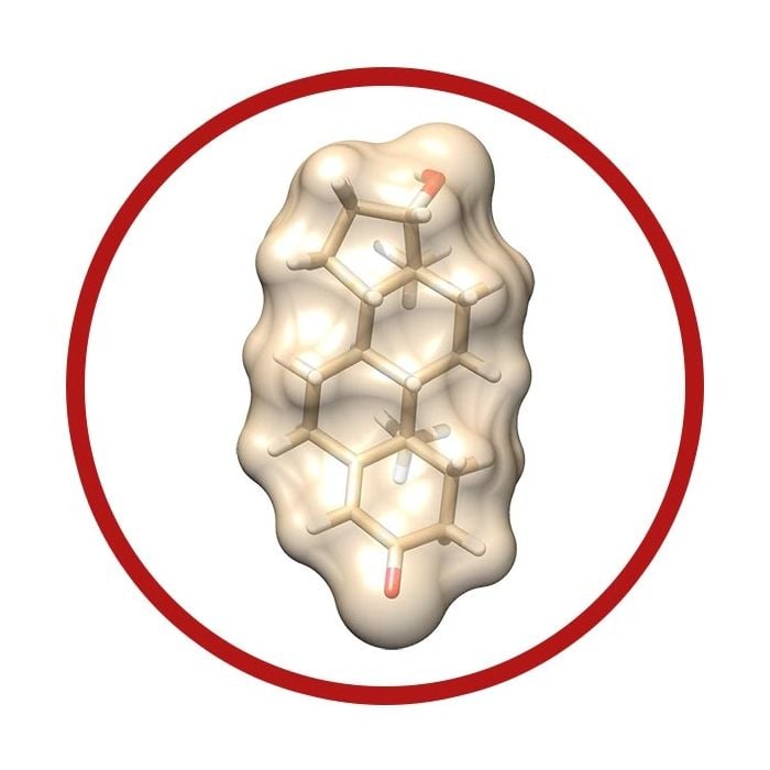 Testosterone real molecule