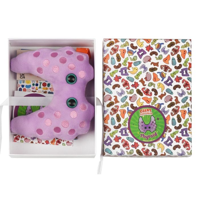 Thyroid gift box open with plush Thyroid gift box open with plush