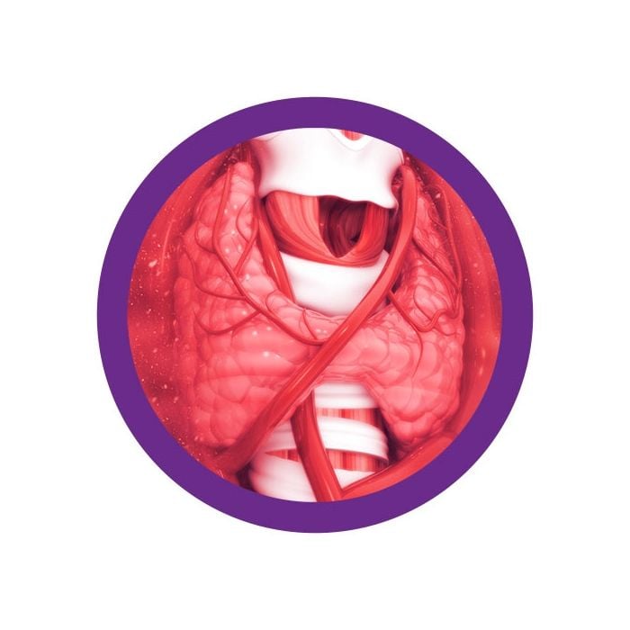 Thyroid real image