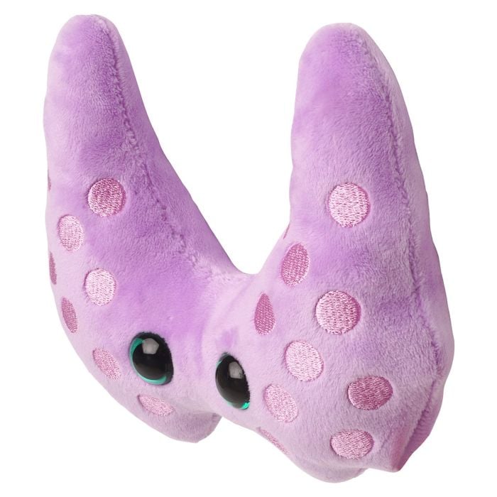 Thyroid plush new angle