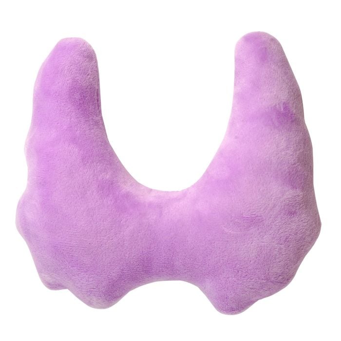 Thyroid plush new back