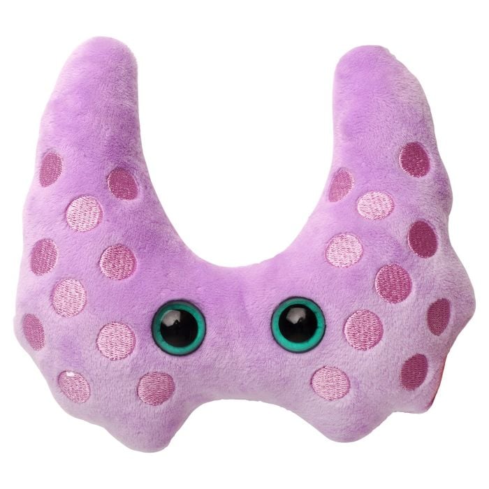 Thyroid plush new front