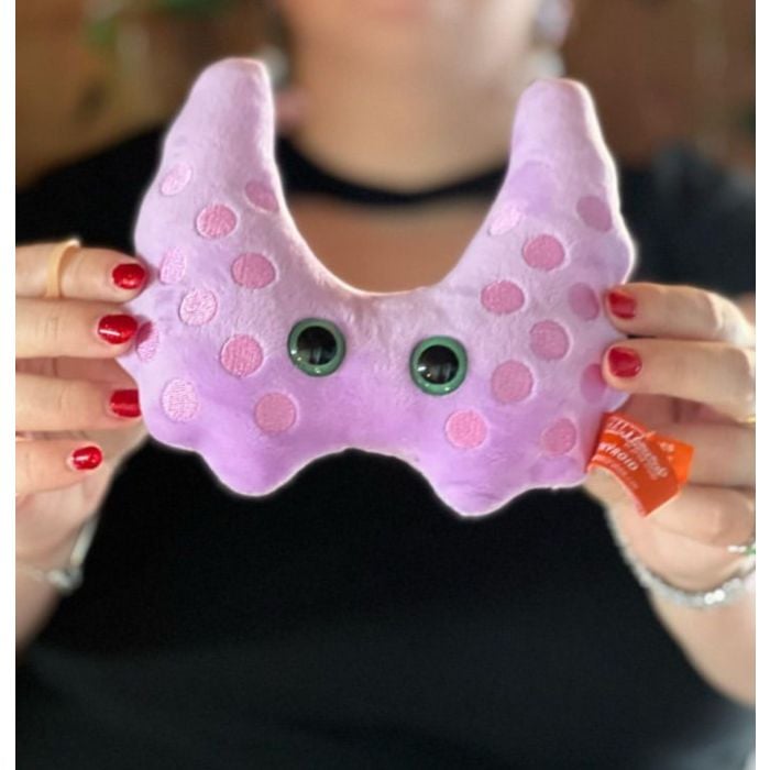 Thyroid plush display Thyroid plush display