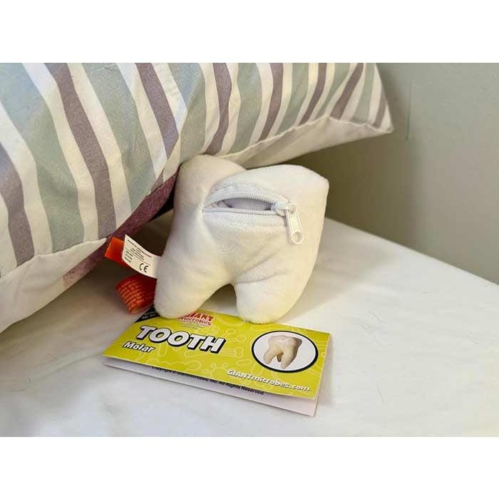 Tooth plush back on pillow