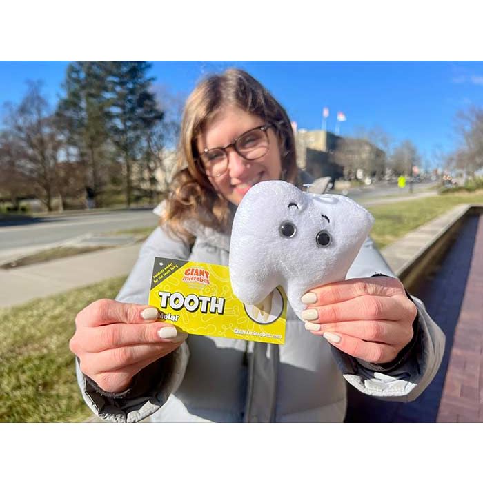 Model holding Tooth plush