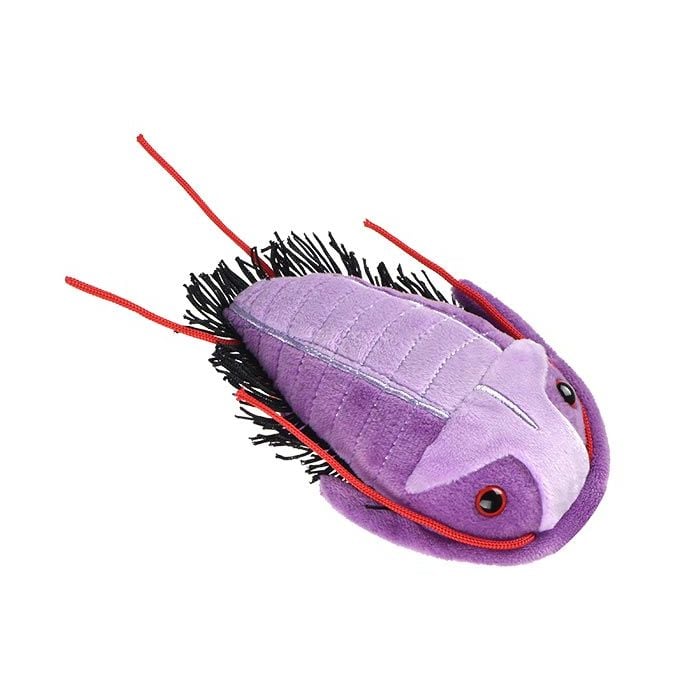 Trilobite plush angle