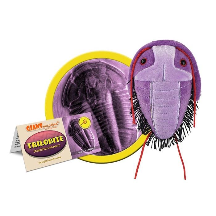 Trilobite plush cluster