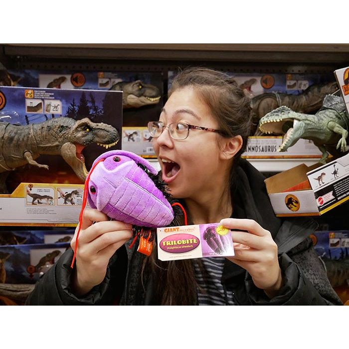 Trilobite dinosaurs