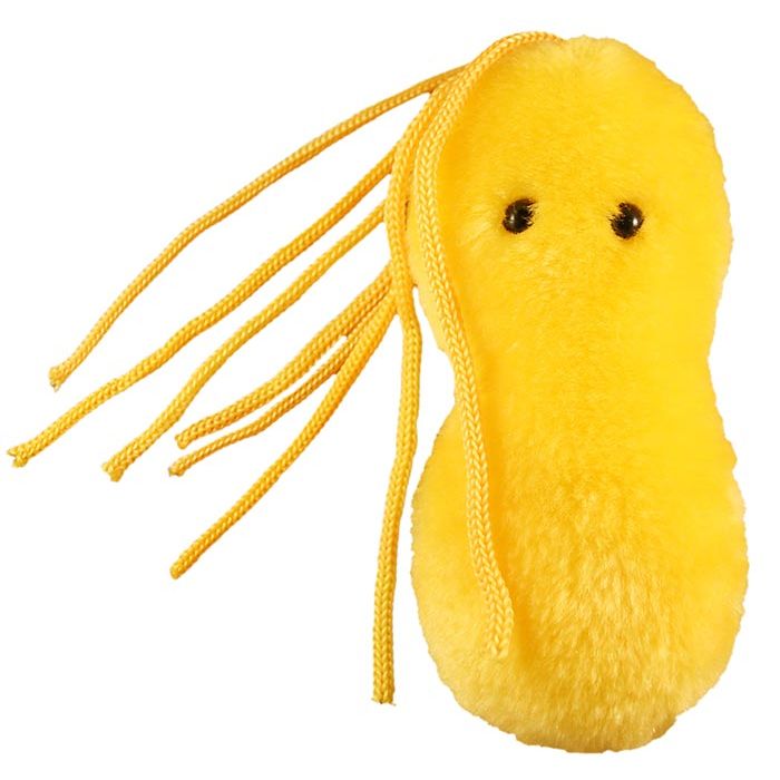Ulcer plush doll